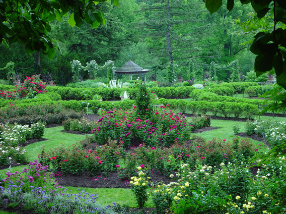 Rose Rambles: A List of Public Rose Gardens Located in or Around the Lehigh Valley